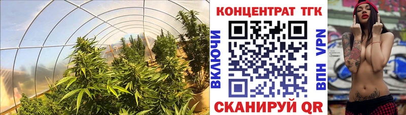 Дистиллят ТГК концентрат  Харабали 